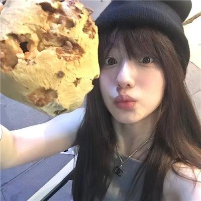 鸽之翼
